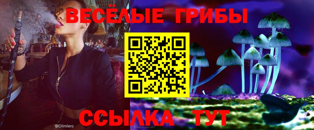 Псилоцибиновые грибы MAGIC MUSHROOMS Череповец